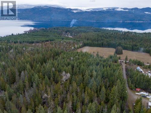 6057 Line 17 Road, North Shuswap, BC - Outdoor With View