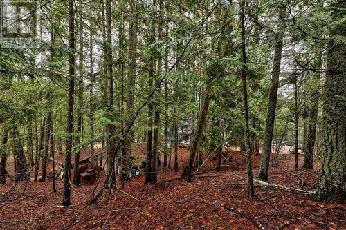 6057 Line 17 Road, North Shuswap, BC - Outdoor With View