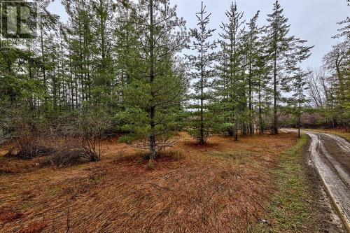 6057 Line 17 Road, North Shuswap, BC - Outdoor With View