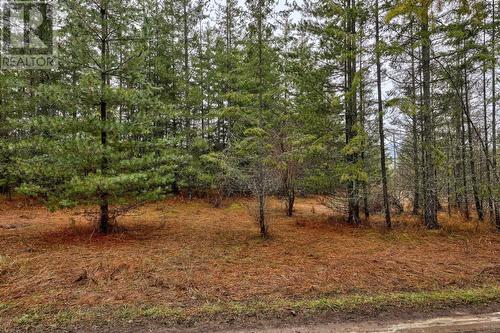 6057 Line 17 Road, North Shuswap, BC - Outdoor