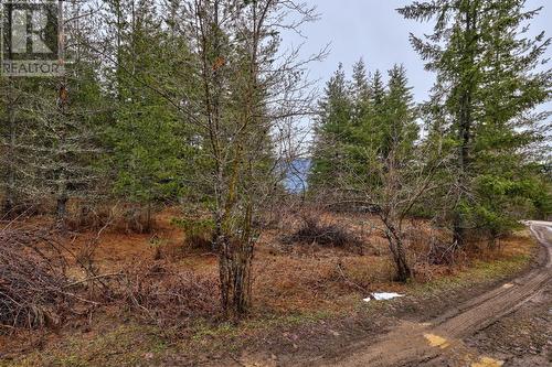 6057 Line 17 Road, North Shuswap, BC - Outdoor With View