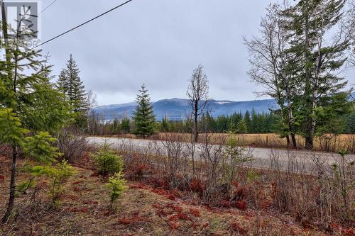 6057 Line 17 Road, North Shuswap, BC - Outdoor With View