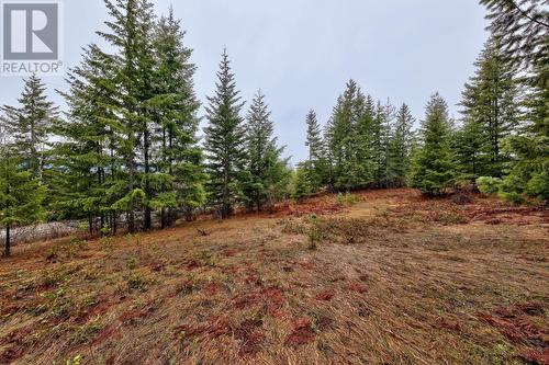 6057 Line 17 Road, North Shuswap, BC - Outdoor