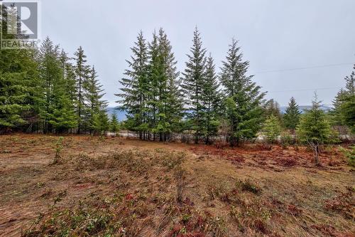 6057 Line 17 Road, North Shuswap, BC - Outdoor With View