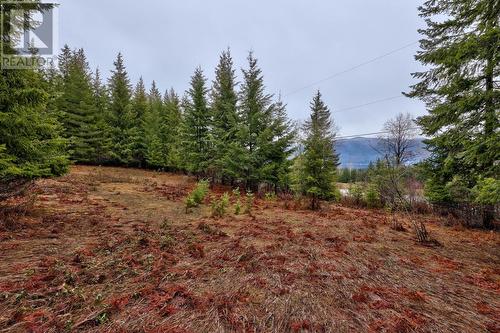 6057 Line 17 Road, North Shuswap, BC - Outdoor With View