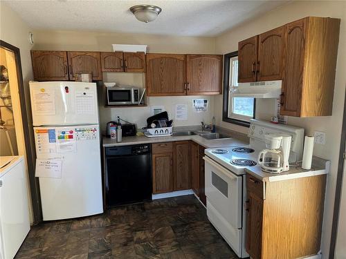 337 Louise Avenue, Brandon, MB - Indoor Photo Showing Kitchen