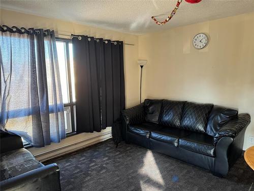 337 Louise Avenue, Brandon, MB - Indoor Photo Showing Living Room