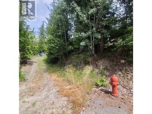 7461 Anglemont Road, North Shuswap, BC 