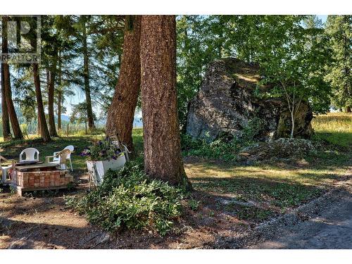 8661 Skimikin Road, Chase, BC - Outdoor