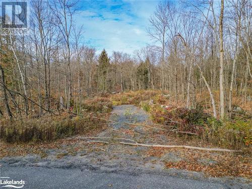 Partial driveway - 28 Loch Erne Road, Mcdougall, ON 