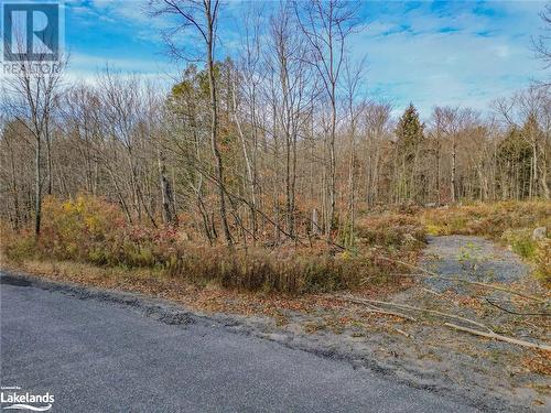 Partial driveway - 28 Loch Erne Road, Mcdougall, ON 