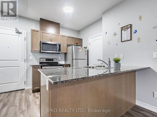 1370 Costigan Road, Milton, ON - Indoor Photo Showing Kitchen With Upgraded Kitchen