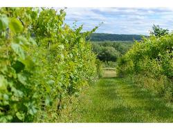 1826 124 RTE  Springfield, NB E5T 2K2