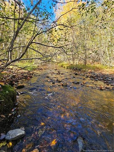 Lot Route 111, Bains Corner, NB 