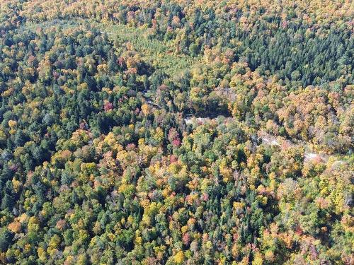 Photo aÃ©rienne - Ch. Des Bêtes-Puantes, Lac-Normand, QC 