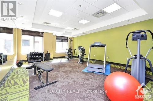 702 - 314 Central Park Drive, Ottawa, ON - Indoor Photo Showing Gym Room