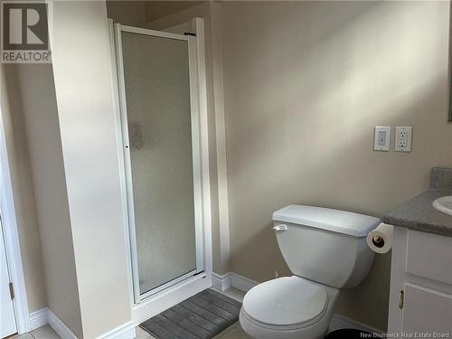 91 Theriault, Dieppe, NB - Indoor Photo Showing Bathroom