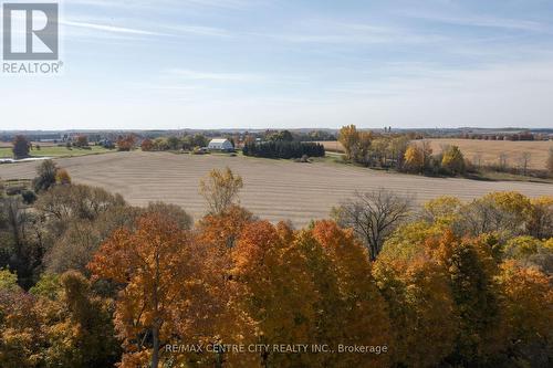 2958 Five Points Road, Thames Centre (Dorchester), ON 