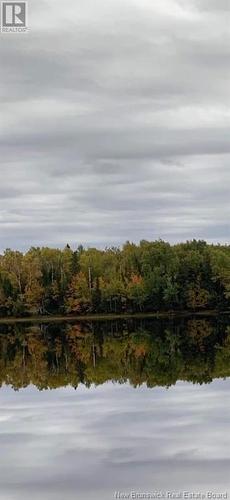 Lot North Black River Road, Black River Bridge, NB 