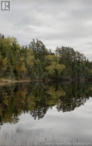 Lot North Black River Road, Black River Bridge, NB 