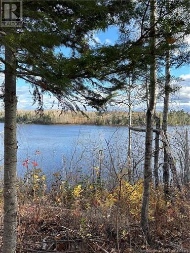 Lot North Black River Road, Black River Bridge, NB 