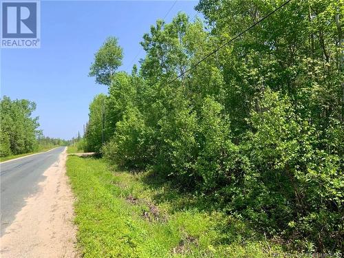 Lot North Black River Road, Black River Bridge, NB 