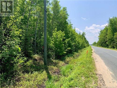 Lot North Black River Road, Black River Bridge, NB 