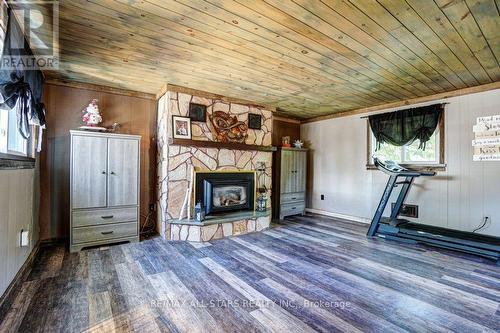 48 North Bayou Road, Kawartha Lakes (Fenelon Falls), ON - Indoor With Fireplace