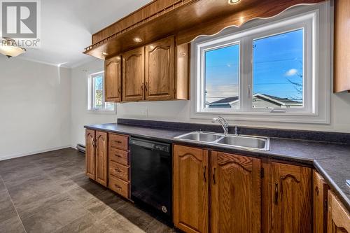 20 Donna Road, Paradise, NL - Indoor Photo Showing Kitchen With Double Sink