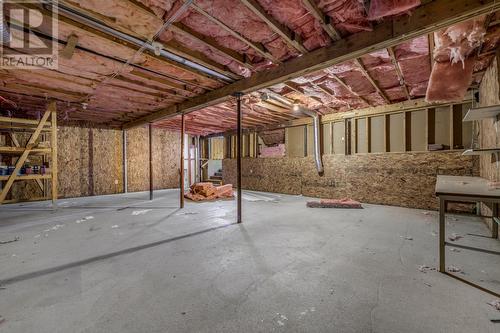 20 Donna Road, Paradise, NL - Indoor Photo Showing Basement