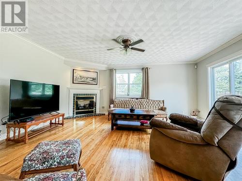 20 Farewells Road, Marystown, NL - Indoor Photo Showing Living Room With Fireplace