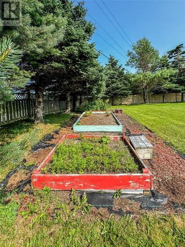 20 Farewells Road, Marystown, NL - Outdoor With Backyard