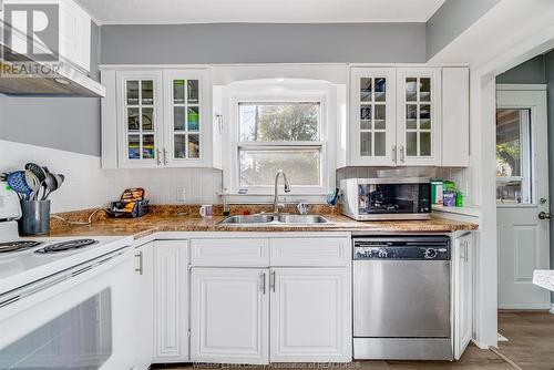 383 Frank Avenue, Windsor, ON - Indoor Photo Showing Kitchen With Double Sink