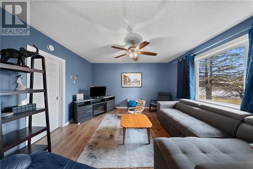 1198 Lincoln Road, Sudbury, ON - Indoor Photo Showing Living Room