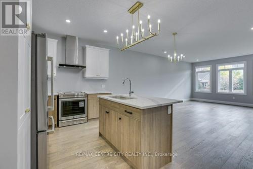 271 South Carriage Road, London, ON - Indoor Photo Showing Kitchen With Upgraded Kitchen