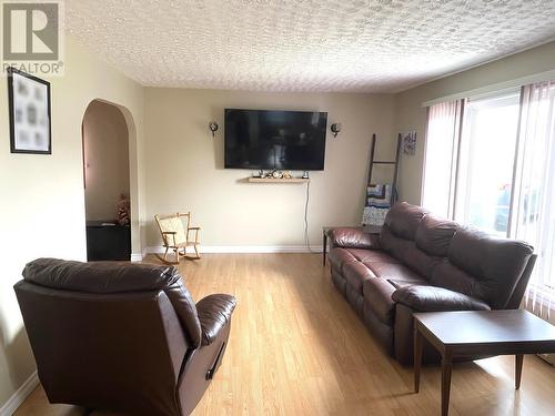 12 Hill Street, Grand Falls-Windsor, NL - Indoor Photo Showing Living Room