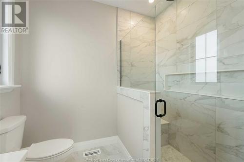 2584 Mayfair, Lasalle, ON - Indoor Photo Showing Bathroom