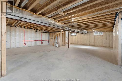 2584 Mayfair, Lasalle, ON - Indoor Photo Showing Basement