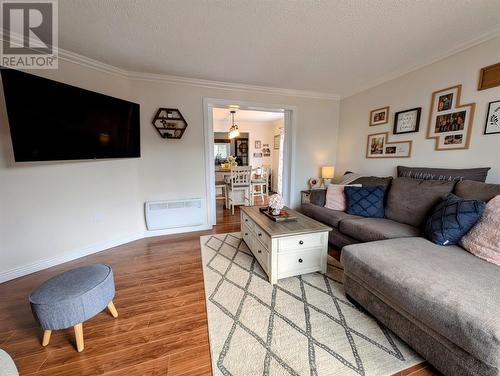 8 Days Road, Corner Brook, NL - Indoor Photo Showing Living Room