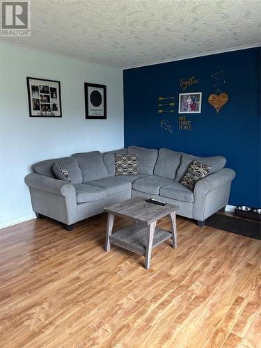 596 Main Road, Pouch Cove, NL - Indoor Photo Showing Living Room