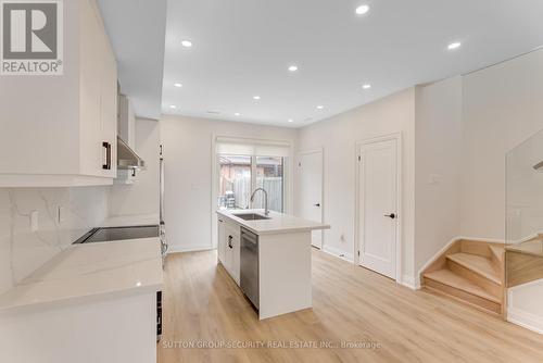 Lane - 706 Gladstone Avenue, Toronto, ON - Indoor Photo Showing Kitchen