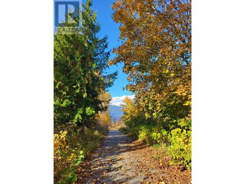 303 Delany Avenue, Slocan, BC - Outdoor With View