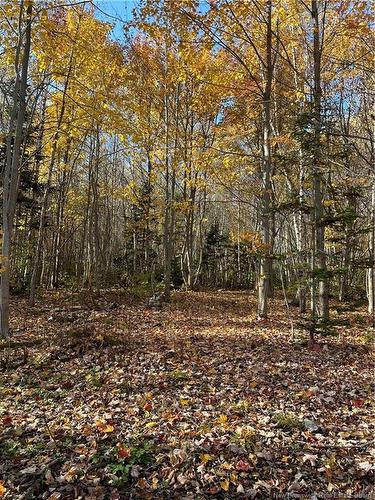 Lot North Black River Rd, Black River Bridge, NB 