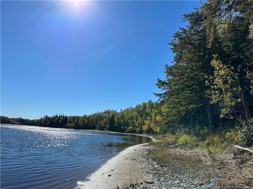 Lot North Black River Rd, Black River Bridge, NB 