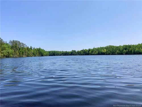 Lot North Black River Rd, Black River Bridge, NB 