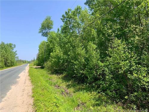 Lot North Black River Rd, Black River Bridge, NB 