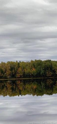 Lot North Black River Rd, Black River Bridge, NB 