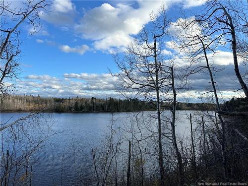 Lot North Black River Rd, Black River Bridge, NB 