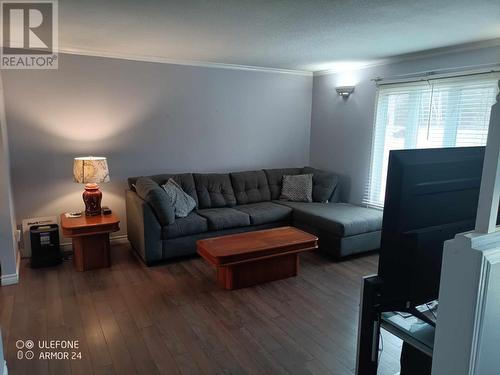 1139 Backland Road, Highlands, NL - Indoor Photo Showing Living Room