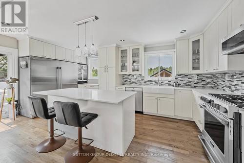 25178 Valleyview Drive, Georgina, ON - Indoor Photo Showing Kitchen With Stainless Steel Kitchen With Upgraded Kitchen